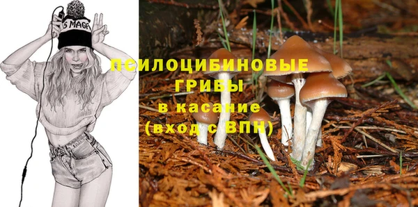 мяу мяу мука Абинск
